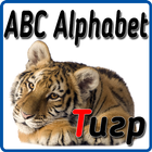 ABC - Alphabet Zeichen