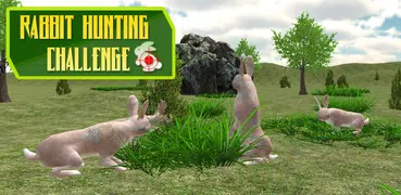 Rabbit Hunting Challenge