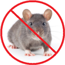 Anti Rat Repellent - Killer Simulator aplikacja