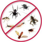 Go Insect Go (Simulator) icon