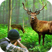 sauvage chasseur cerf chasse