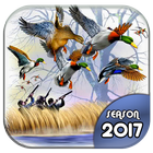 Duck Hunting 3D: Seasons 2017 圖標