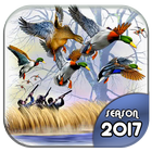 Chasse canard 3D saison 2017 icône