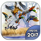 Duck Hunting 3D: Seasons 2017 icon