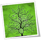 Bhandari Family Tree ícone
