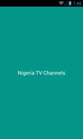 Nigeria TV Channels poster