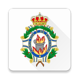 Diccionario de la RAE