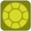 Swim Turtle Swim