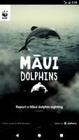 Māui Dolphin Affiche