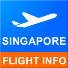 Singapore Flight Info ícone