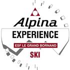 آیکون‌ ESF-Alpina
