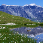 alpine meadows ไอคอน