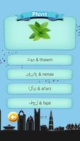 W Quiz Arabic Beginner скриншот 3