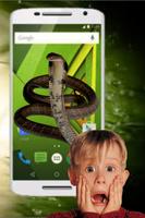 Multi Color Snake On Screen Hissing Joke : Prank Affiche