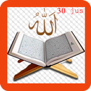 Al-Quran 30 Jus.Mp3 APK