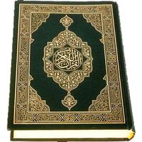 AL-QURAN MOBILE скриншот 1