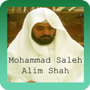 Al-Quran Mohammad Saleh Alim Shah APK