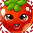 fruit splash mania 2 아이콘