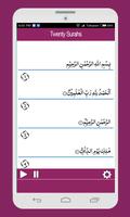 Twenty Surahs Of Quran 截图 3