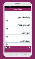 Twenty Surahs Of Quran screenshot 3
