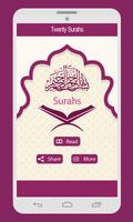 Twenty Surahs Of Quran تصوير الشاشة 1