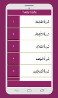 Twenty Surahs Of Quran screenshot 2