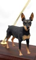 微型短毛猎犬狗壁纸 截圖 2