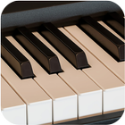 Piano Keyboard icon