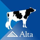 Alta Genetics Bull Search