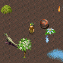Terra Incognita aplikacja