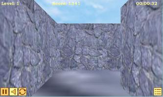 Maze 3D 스크린샷 2