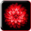 Vibration masseur APK