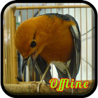 Kicau Anis Merah Teler MP3 иконка