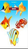 Fish Find Difference poster