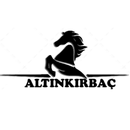 AT YARIŞI ALTIN KIRBAÇ APK