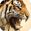 Big Cat Sounds