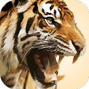 Big Cat Sounds APK