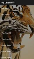 Big Cat Sounds 海報