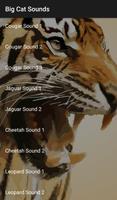 Big Cat Sounds 截圖 1