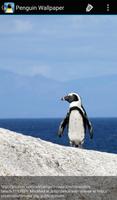 Penguin Wallpaper imagem de tela 3