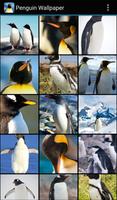 Penguin Wallpaper Cartaz