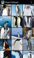 Penguin Wallpaper imagem de tela 1