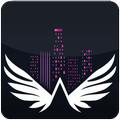 Angel City Limo