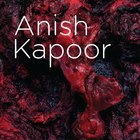Anish Kapoor MUAC, UNAM icon