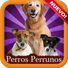 Perros razas perrunas 아이콘