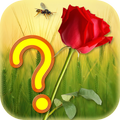 Guess the Flower