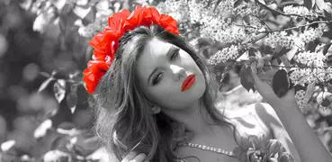 Color Splash Effect
