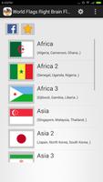World Flags Flashcards Affiche