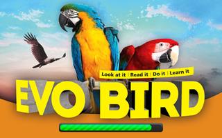 EVO BIRD - EVOBIRD AR الملصق
