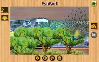 EVO BIRD - EVOBIRD AR captura de pantalla 3